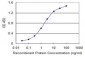 SCYL1 Antibody (monoclonal) (M02)